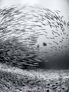For the Eye altering alters all ... WB. Sail Rock, Thaila... by Stefan Follows 